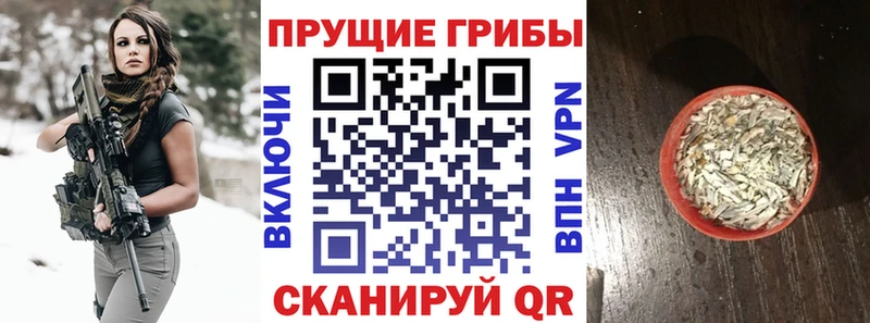 наркотики  Орехово-Зуево  Галлюциногенные грибы мухоморы 
